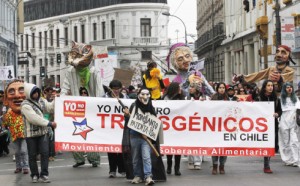 Demonstrators hold banners during a rally against Monsanto Co. and GMOs, in Valparaiso